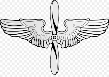 United States Air Force Academy Prop and Wings Flight Nurse Badge - Pilot Wings Cliparts 