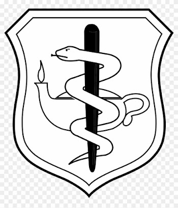 United States Air Force Nurse Corps Badge - Air Force Medical Corps