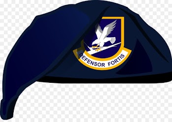 United States Air Force Security Forces Military Special Forces - Eagle Security Logo 