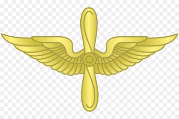 United States Army Air Forces Military United States Army Aviation Branch - forcess 
