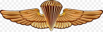 United States Army Airborne School United States Navy SEALs Parachutist Badge - wings 