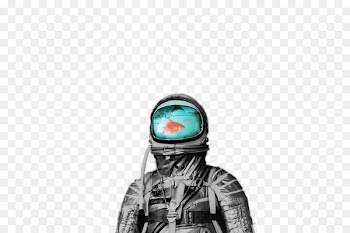 United States Astronaut Hall of Fame Sticker Astronaut badge - Creative Design - see the fish astronauts 