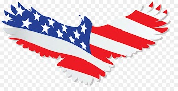 United States Bald Eagle American Eagle Outfitters - eagle 