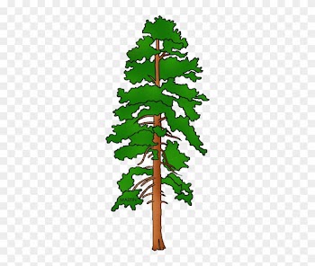 United States Clip Art By Phillip Martin, State Tree - Fallen Tree On House Clipart