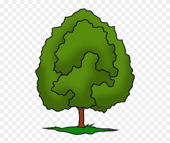 United States Clip Art Phillip Martin State Tree Of - Tree Clipart Phillip Martin