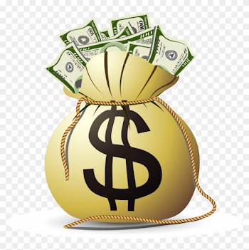 United States Congress Power Of The Purse Producer - Money Bag