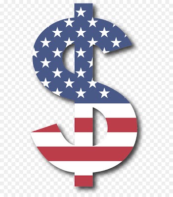 United States Dollar Dollar sign - Vector American flag pattern of dollar 