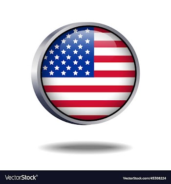 united states flag button