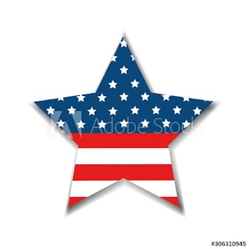 united states flag in star shape design