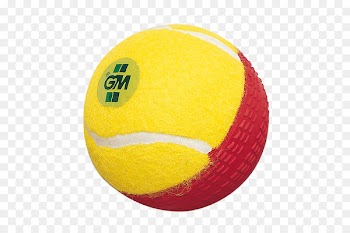 United States national cricket team Cricket Balls Swing bowling - Cricket stump 