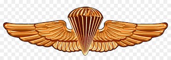 United States Naval Academy Parachutist Badge Special Warfare insignia United States Navy SEALs United States Army Airborne School - usmc military couples 