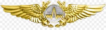 United States Navy United States Naval Aviator Military badges of the United States Naval aviation Marine Aerial Navigator insignia - military 