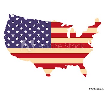 united states of america flag in map vector illustration