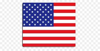 United States of America Flag of the United States ANLEY Flag Day - abroad flag 