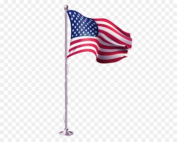 United States of America Flag of the United States Image Portable Network Graphics - slyvester bubble 