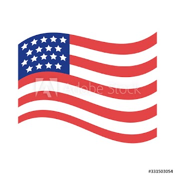 united states of america flag silhouette style