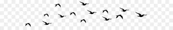 United States of America Happiness Definition English language Meaning - Flying Birds Silhouettes Transparent PNG Clip Art Image 
