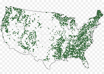 United States Of America, Map, Land, Green PNG