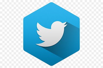 United States Social media Computer Icons - Hexagon 
