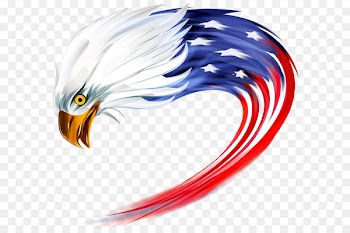 United States Stock photography Royalty-free Clip art - American Eagle Transparent PNG Clip Art Image 