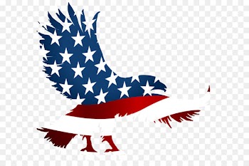 United States T-shirt American Eagle Outfitters Clothing Jersey - American Eagle Flag Transparent PNG Clip Art Image 