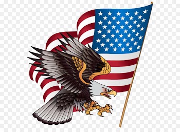 United States T-shirt American Eagle Outfitters Clothing Jersey - American Eagle Transparent PNG Clip Art Image 