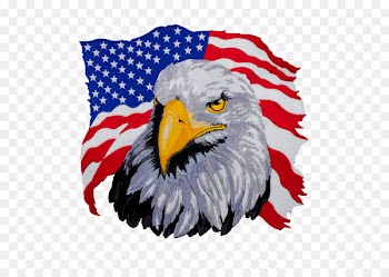 United States T-shirt Bald Eagle Hoodie - american 