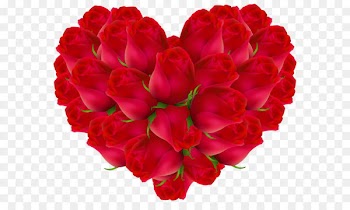 United States Vanessa Dale Love Marriage Film - Rose Heart Transparent PNG Image 