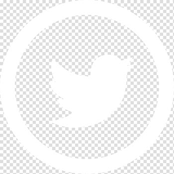 United States White people Business White House Light skin, white twitter transparent background PNG clipart