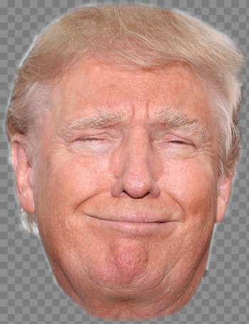 United Trump Cheek Face States Donald Party