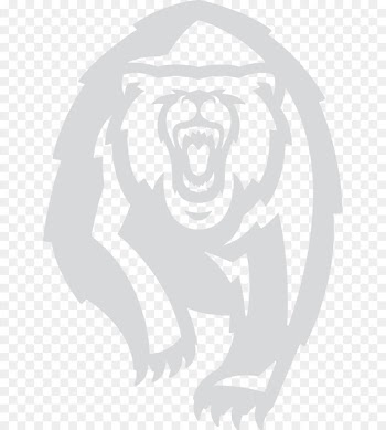 University of California, Berkeley California Golden Bears women's basketball California Golden Bears football California Golden Bears women's volleyball - others 