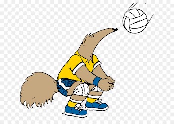 University of California, Irvine UC Irvine Anteaters men's basketball Volleyball Clip art - people playing volleyball 