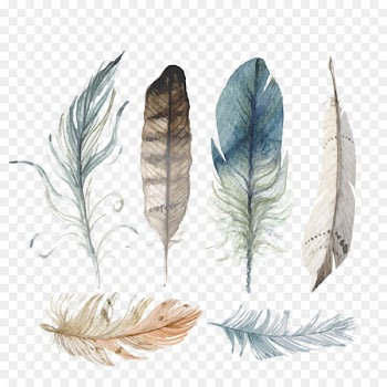 University of Campinas Drawing Sparrow Holistic Health Vector graphics Free content - turkey feather 