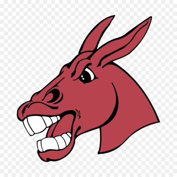 University of Central Missouri Central Missouri Mules football Central Missouri Mules basketball Lindenwood University Central Missouri Jennies women's basketball - foxy stamp 