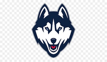 University of Connecticut Connecticut Huskies men's basketball Connecticut Huskies baseball Connecticut Huskies football Connecticut Huskies men's ice hockey - husky 