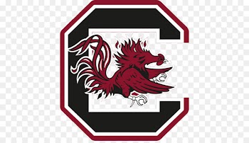 University of South Carolina South Carolina Gamecocks baseball South Carolina Gamecocks men's basketball South Carolina Gamecocks women's volleyball Vanderbilt University - others 