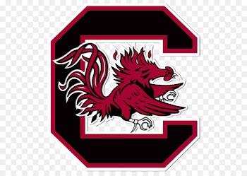 University of South Carolina Upstate South Carolina Gamecocks football South Carolina Gamecocks women's volleyball South Carolina Gamecocks men's basketball - others 