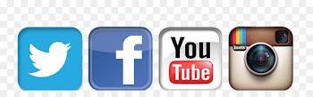 University of South Florida Social media Louisiana Child Family - social media 