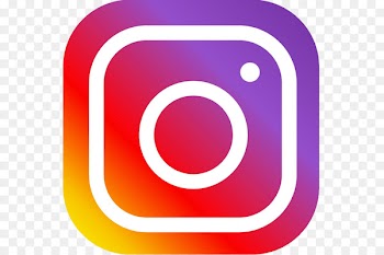 University of Tennessee London School of Economics Social media Business Company - instagram 