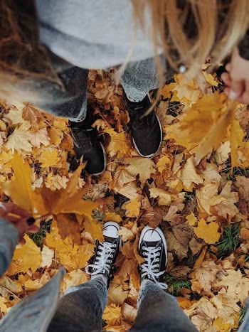 Unknonw Persons Standing on Dried Leaves