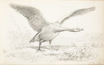 (unknown), 1857 - 1875
part of a sketchbook, | Free Photo - rawpixel