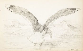 (unknown), 1857 - 1875
part of a sketchbook, | Free Photo - rawpixel