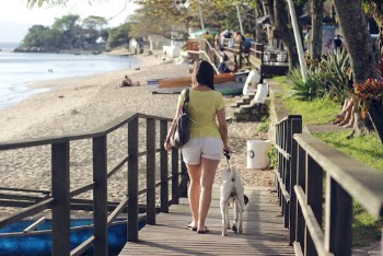 Unknown Celebrity Walking on Brown Wooden Bridge