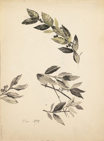 (unknown)
part of a sketchbook, by Albert | Free Photo - rawpixel
