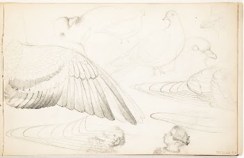 (unknown)
part of a sketchbook, by Ferdinand | Free Photo - rawpixel