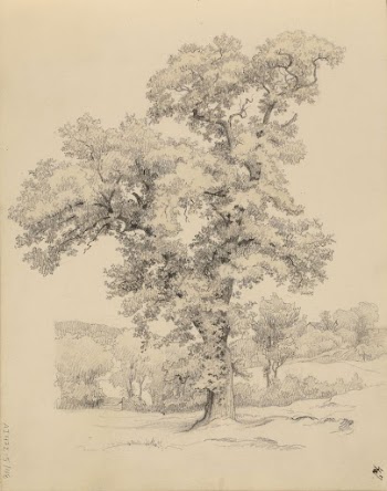 (unknown)
part of a sketchbook, Werner | Free Photo - rawpixel