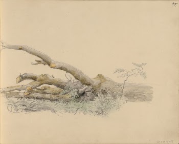 (unknown)
part of a sketchbook, Werner | Free Photo - rawpixel