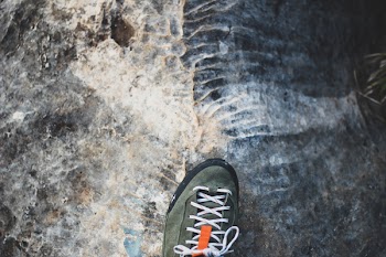 Unpaired Green Sneaker