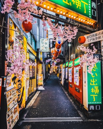 Unsplash ID 0-T-O7yN_dA