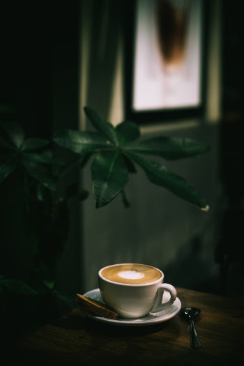 Unsplash ID 01A6S5cPbDg
